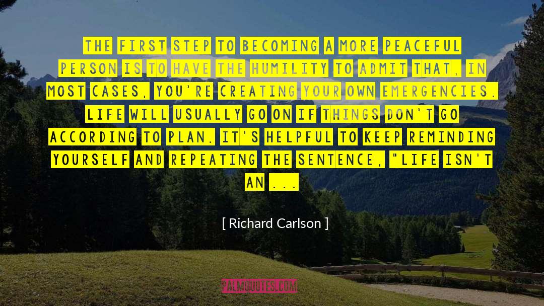 According To Plan quotes by Richard Carlson