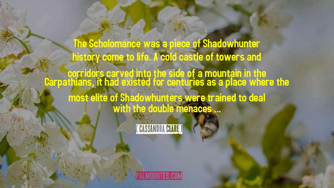 Accords Shadowhunter quotes by Cassandra Clare