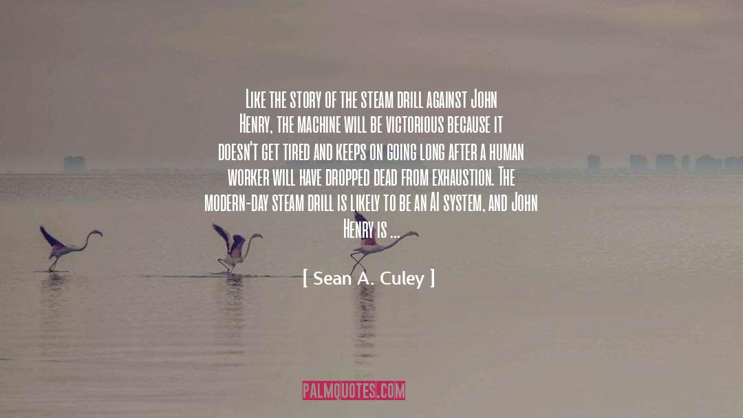 Accountant quotes by Sean A. Culey