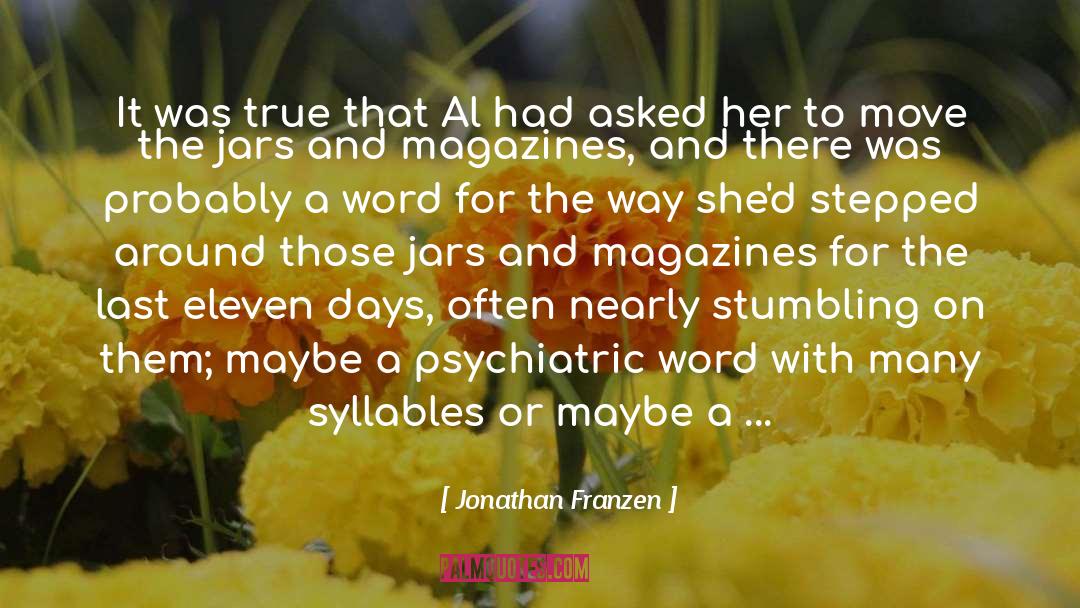 Accounting quotes by Jonathan Franzen