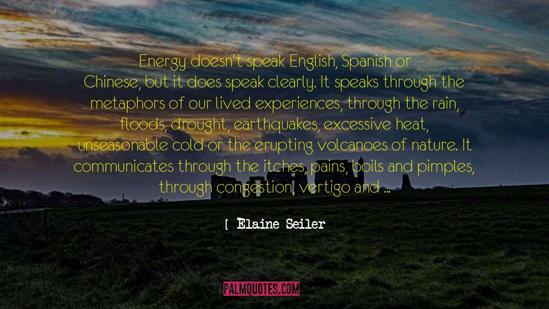 Accumulate Energy quotes by Elaine Seiler