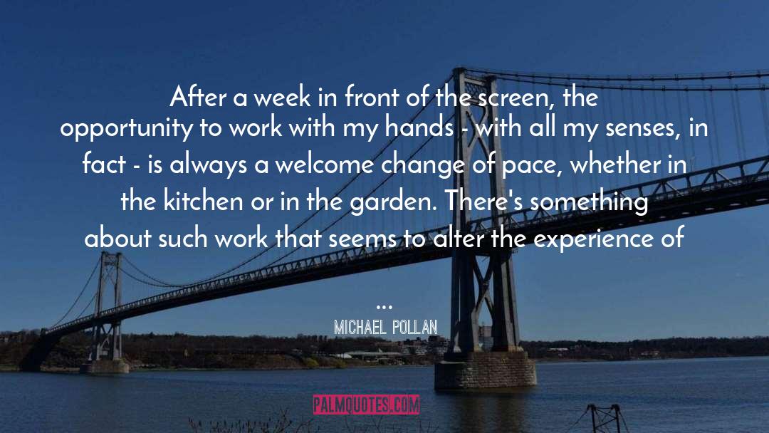 Accumulate Experience quotes by Michael Pollan