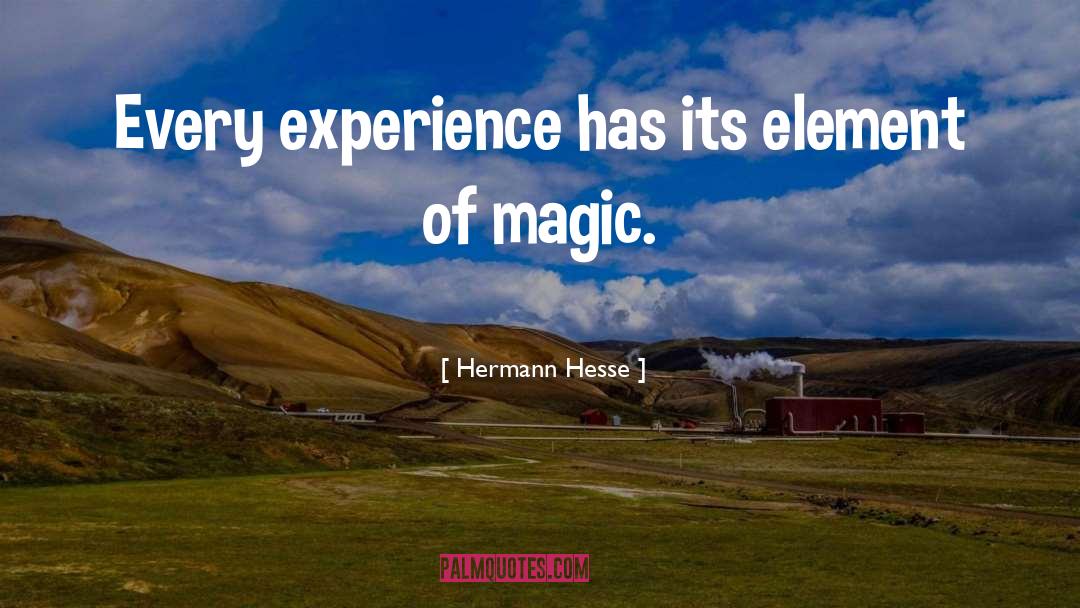 Accumulate Experience quotes by Hermann Hesse