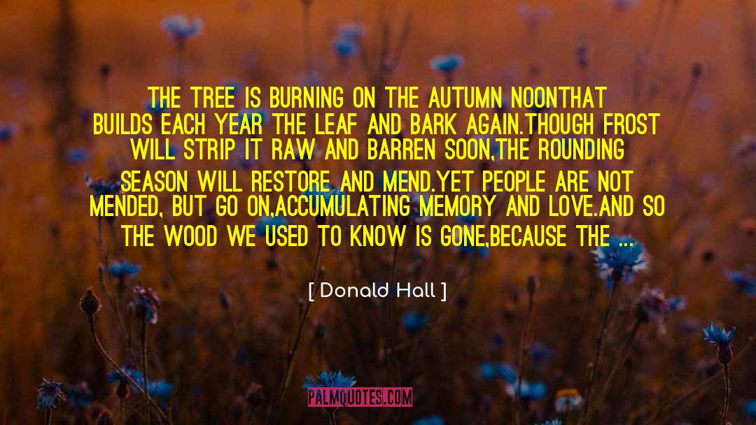 Accumulating quotes by Donald Hall