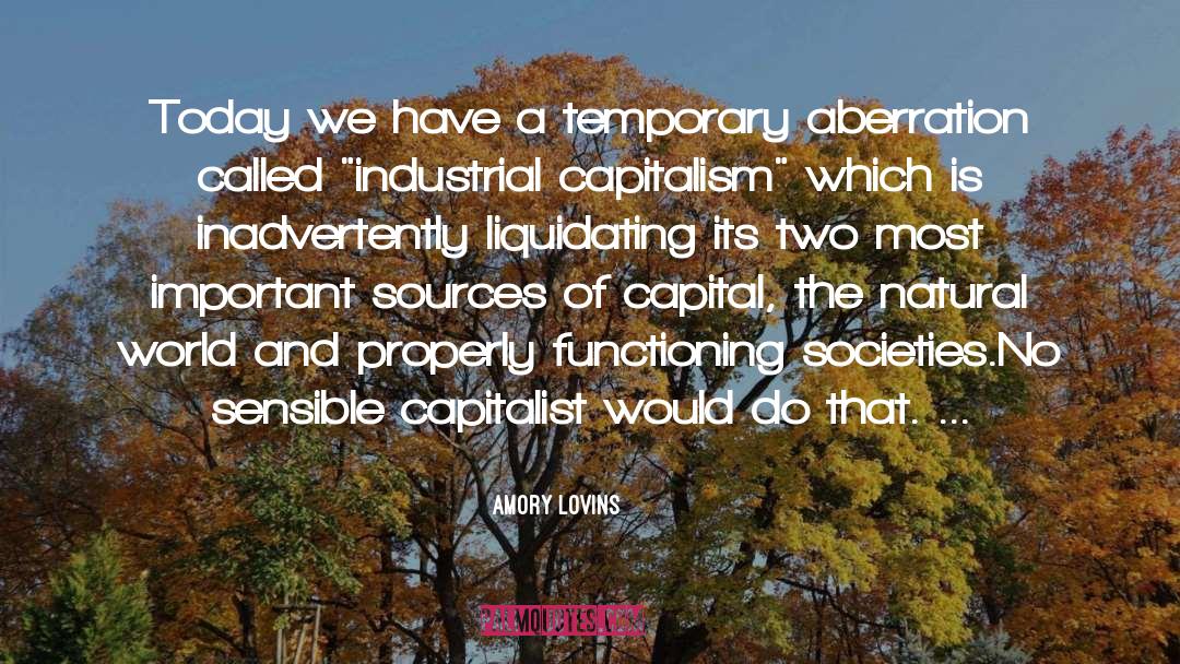Accumulation Of Capital quotes by Amory Lovins