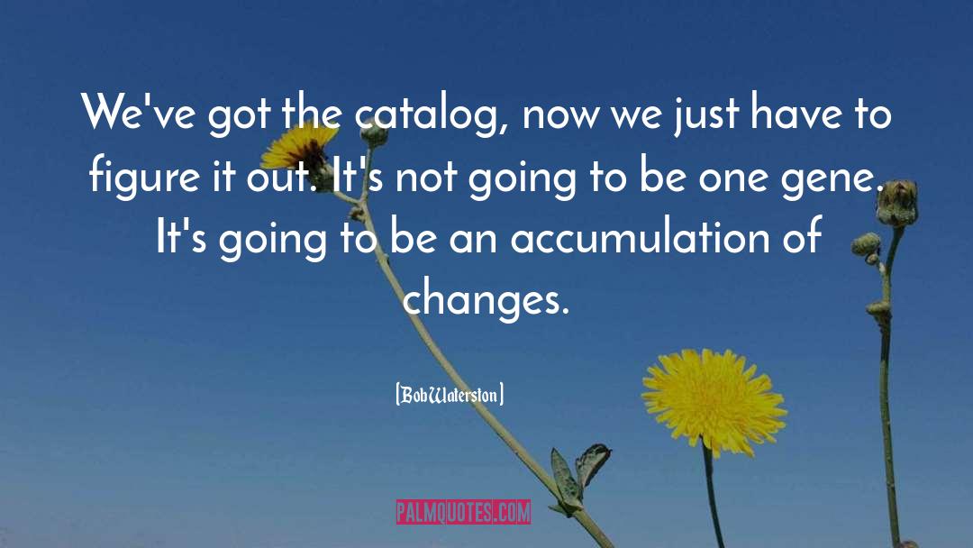 Accumulation quotes by Bob Waterston