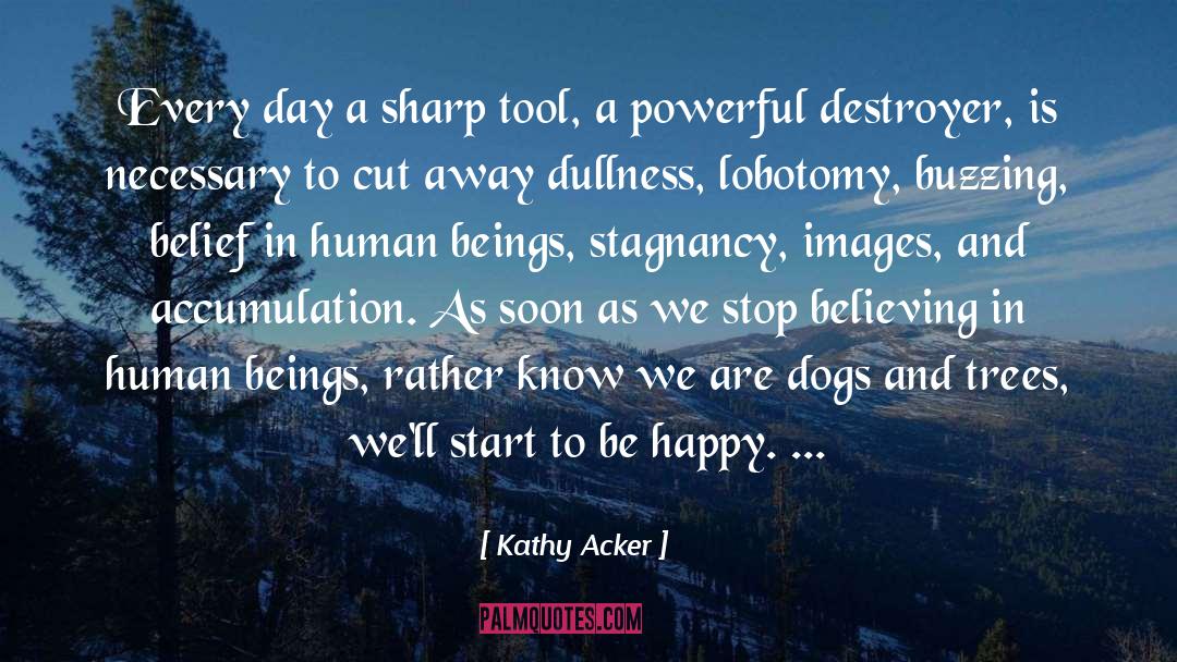 Accumulation quotes by Kathy Acker