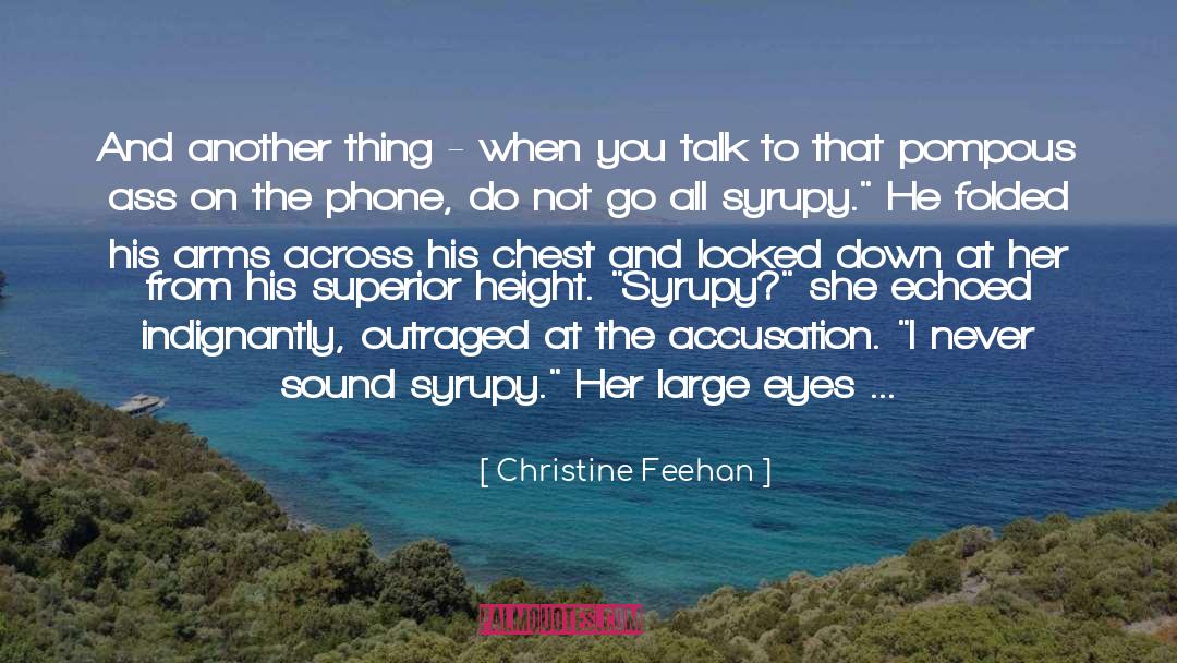 Accusation quotes by Christine Feehan