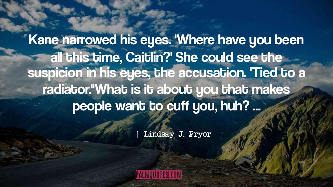 Accusation quotes by Lindsay J. Pryor