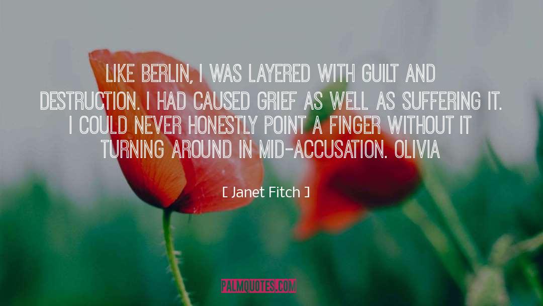 Accusation quotes by Janet Fitch