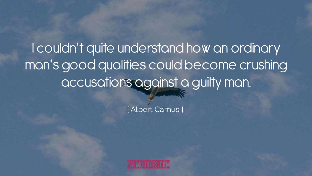 Accusations quotes by Albert Camus