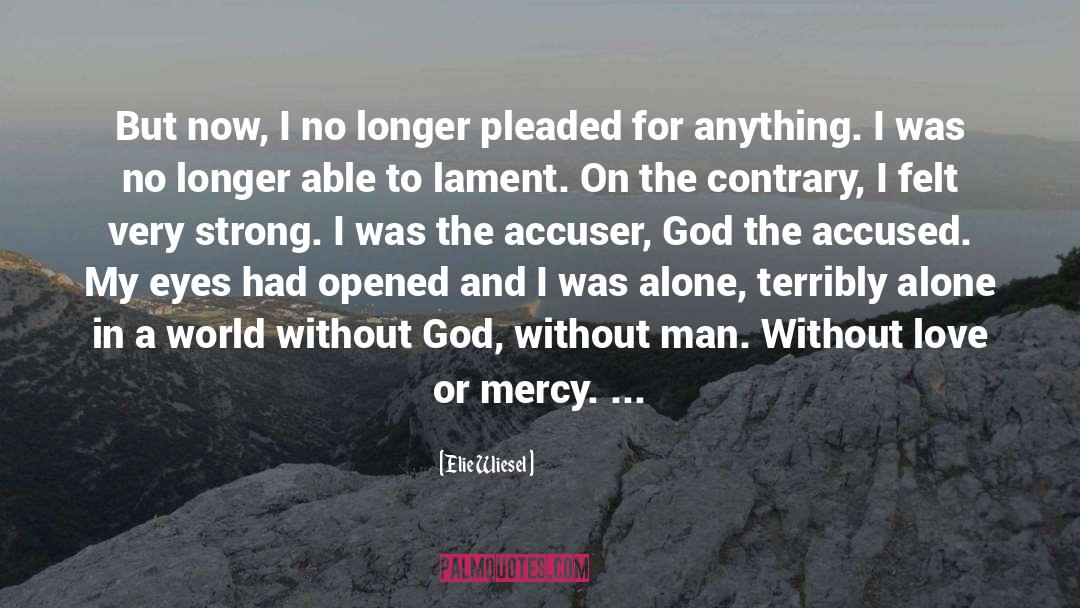 Accuser quotes by Elie Wiesel