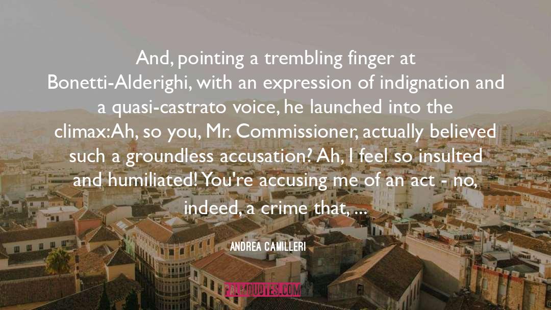 Accusing Me quotes by Andrea Camilleri