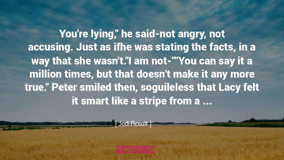 Accusing Me quotes by Jodi Picoult