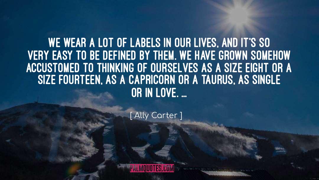 Accustomed quotes by Ally Carter