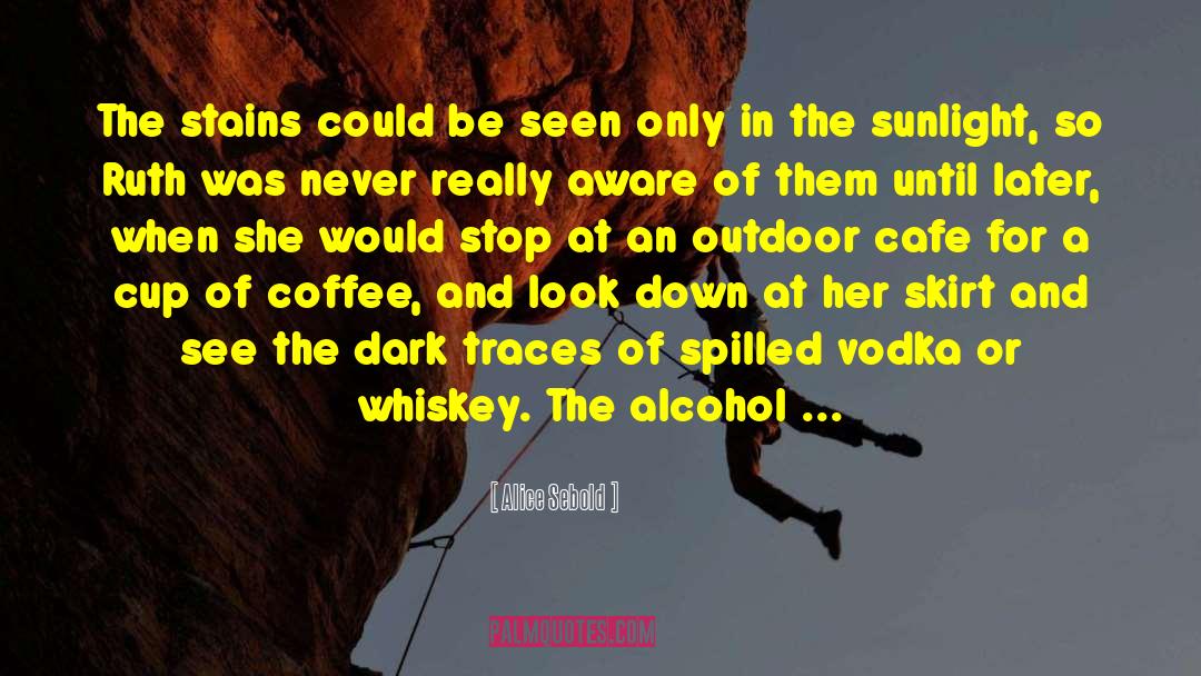Accutane And Alcohol quotes by Alice Sebold
