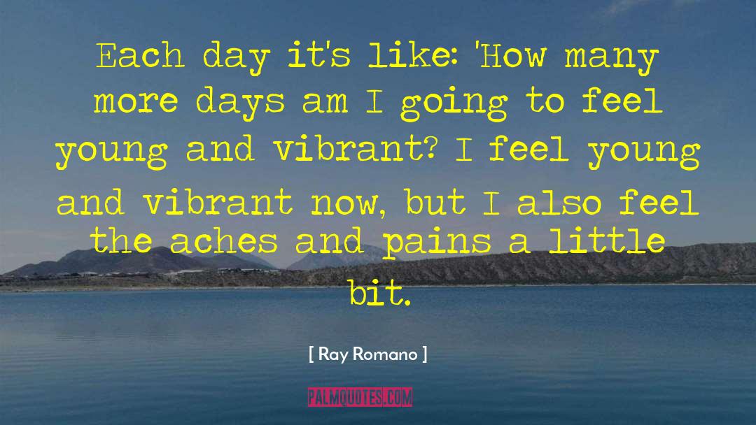 Aches And Pains quotes by Ray Romano