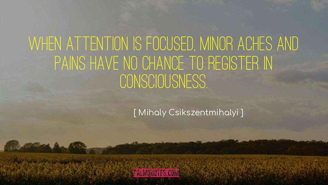 Aches And Pains quotes by Mihaly Csikszentmihalyi