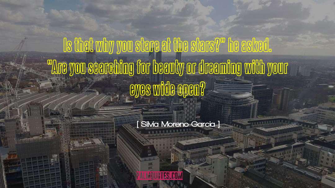 Achieve Your Dreams quotes by Silvia Moreno-Garcia