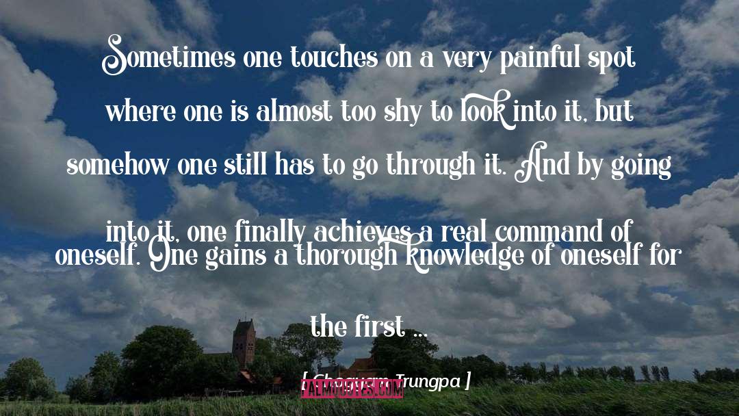 Achieves quotes by Chogyam Trungpa