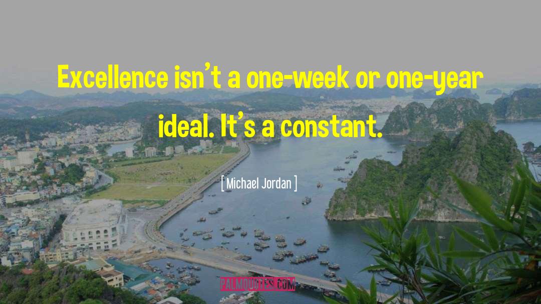 Achieving Excellence quotes by Michael Jordan