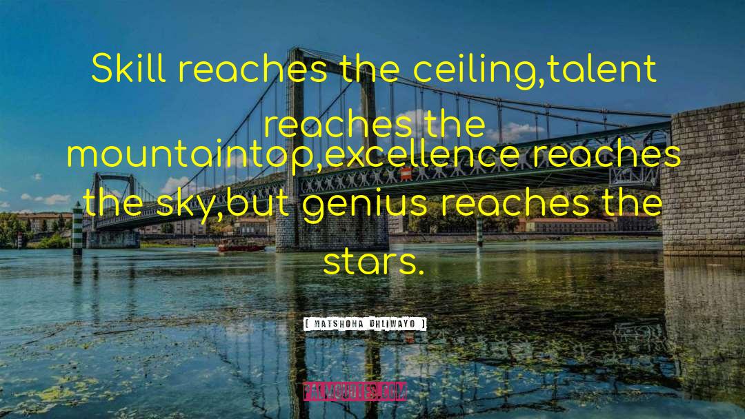 Achieving Excellence quotes by Matshona Dhliwayo