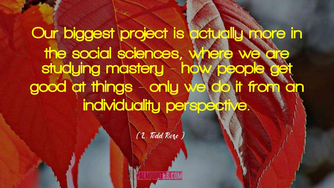Achieving Mastery quotes by L. Todd Rose