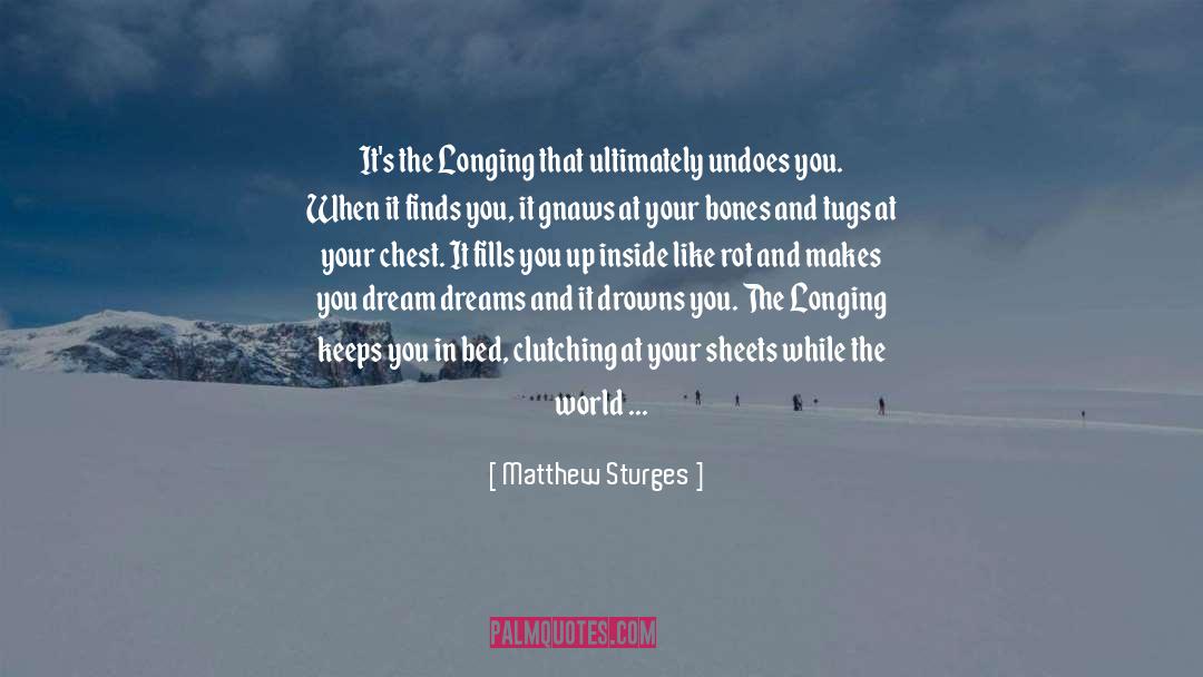 Achieving Your Dreams quotes by Matthew Sturges
