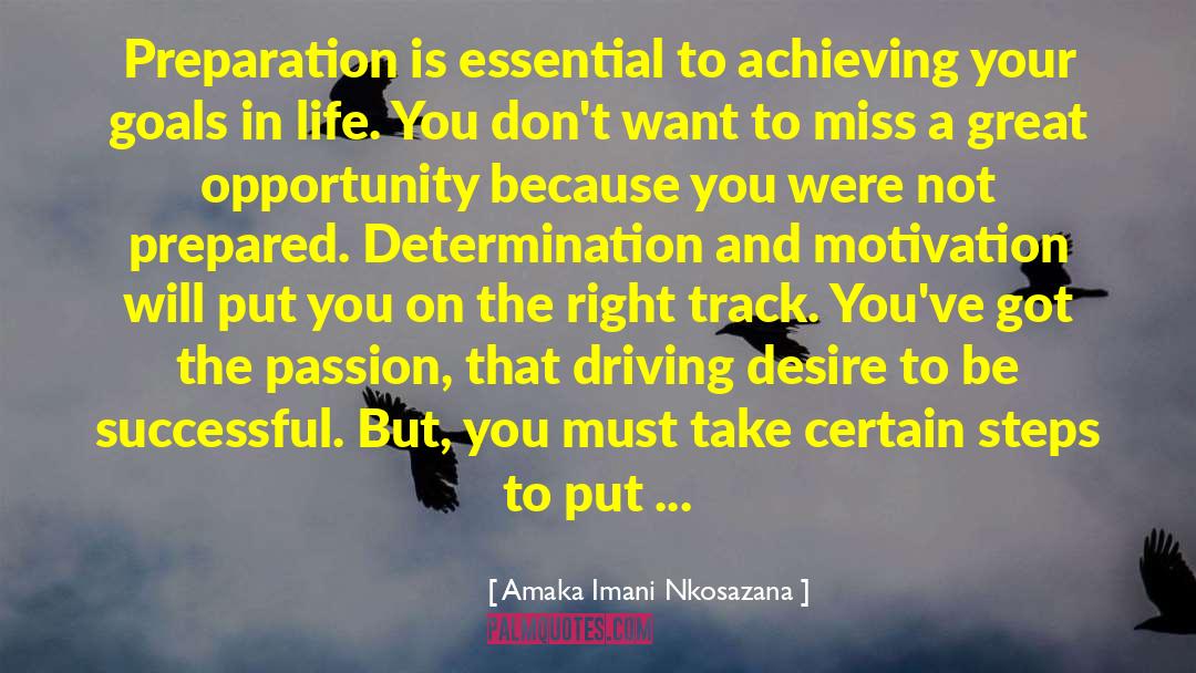 Achieving Your Goals quotes by Amaka Imani Nkosazana