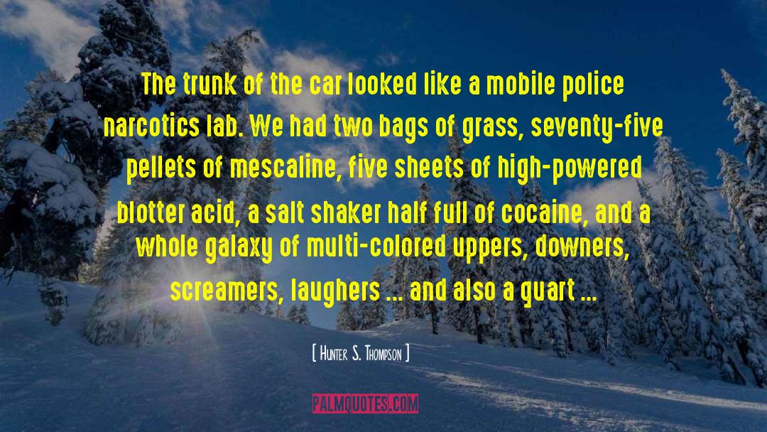 Acid quotes by Hunter S. Thompson