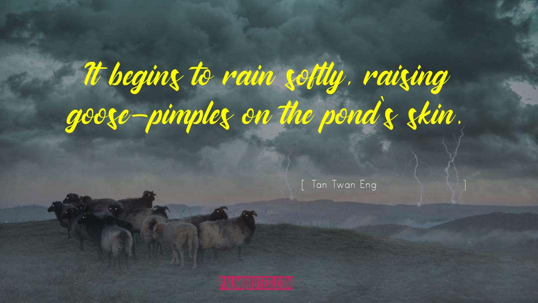 Acid Rain quotes by Tan Twan Eng