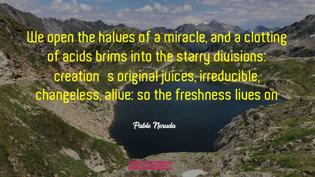 Acids quotes by Pablo Neruda