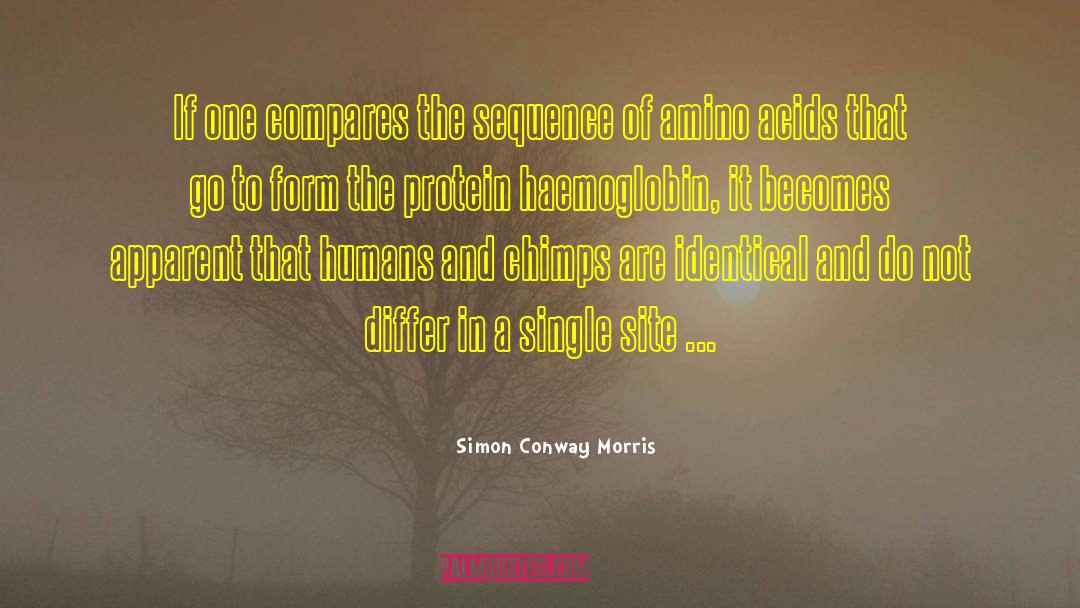 Acids quotes by Simon Conway Morris