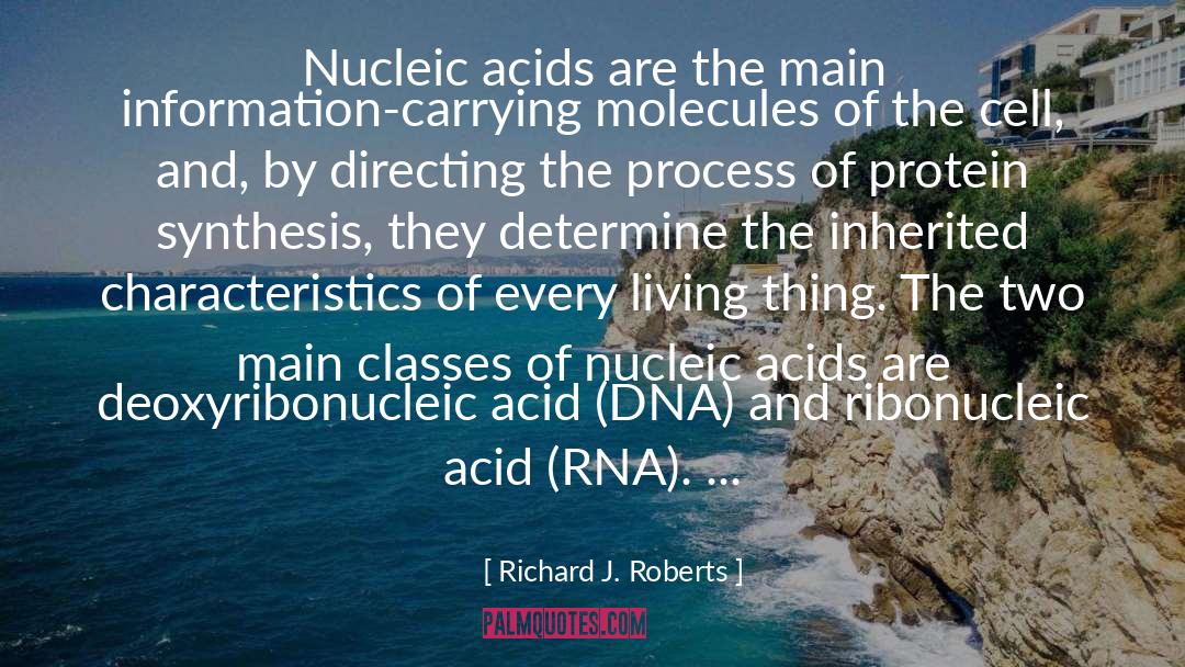 Acids quotes by Richard J. Roberts