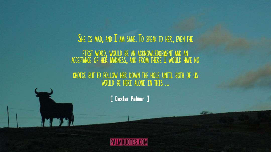 Acknowledgement quotes by Dexter Palmer