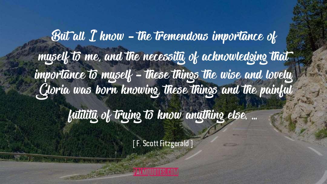 Acknowledging quotes by F. Scott Fitzgerald