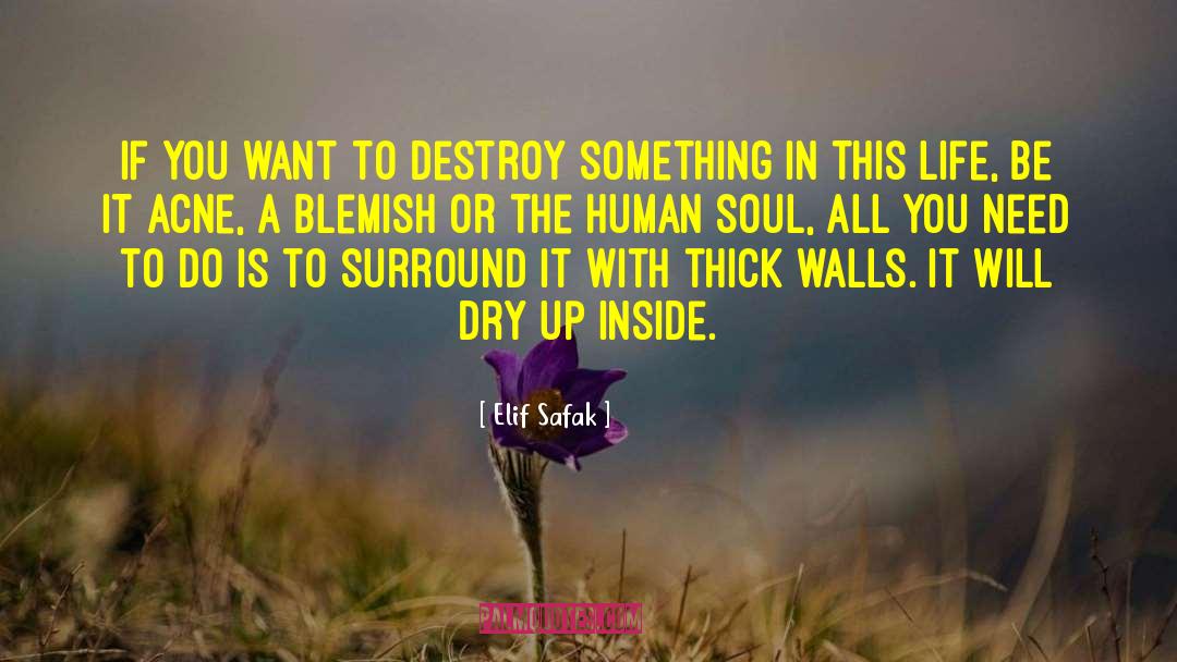 Acne quotes by Elif Safak