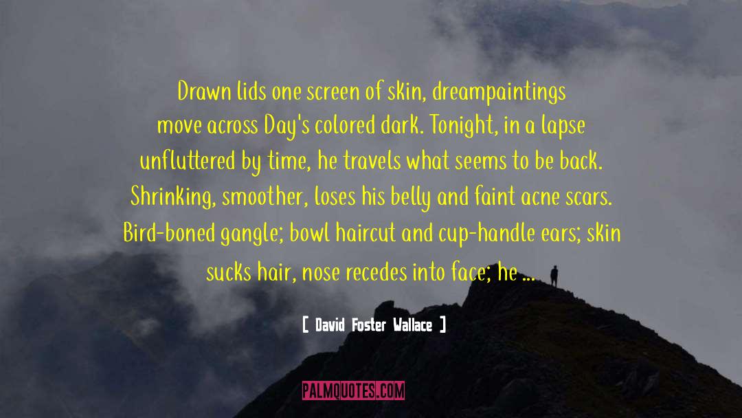 Acne quotes by David Foster Wallace