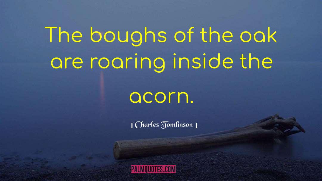 Acorn quotes by Charles Tomlinson