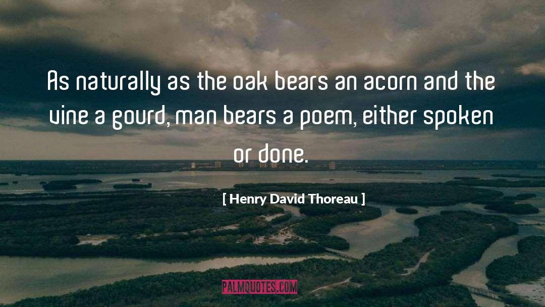 Acorn quotes by Henry David Thoreau
