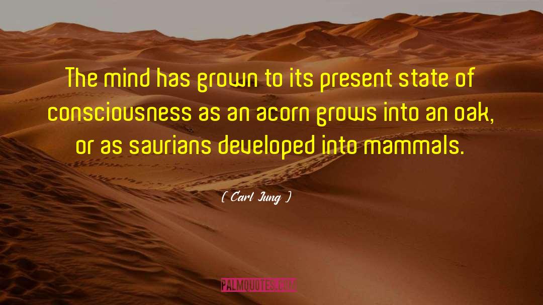 Acorn quotes by Carl Jung
