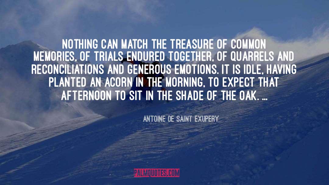 Acorn quotes by Antoine De Saint Exupery