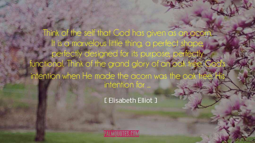 Acorn quotes by Elisabeth Elliot