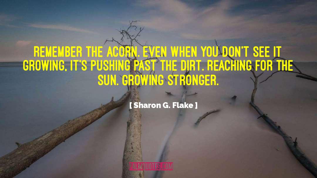 Acorn quotes by Sharon G. Flake