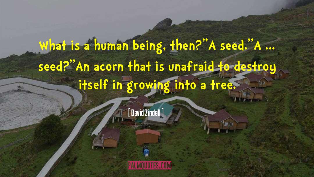 Acorn quotes by David Zindell