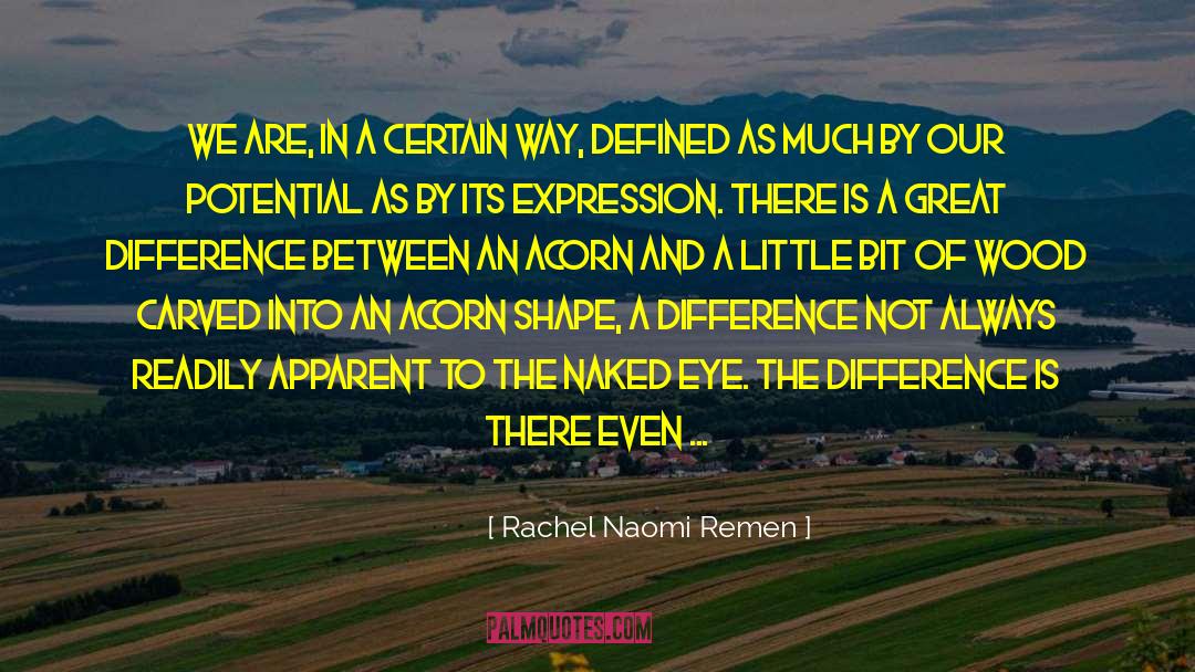 Acorn quotes by Rachel Naomi Remen