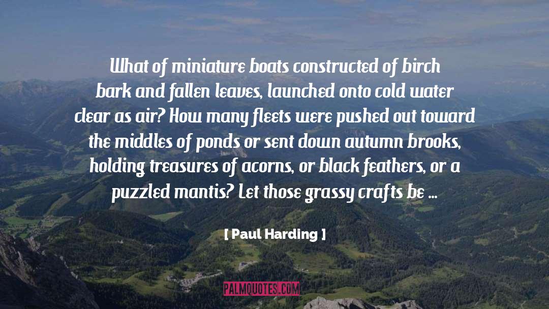 Acorns quotes by Paul Harding