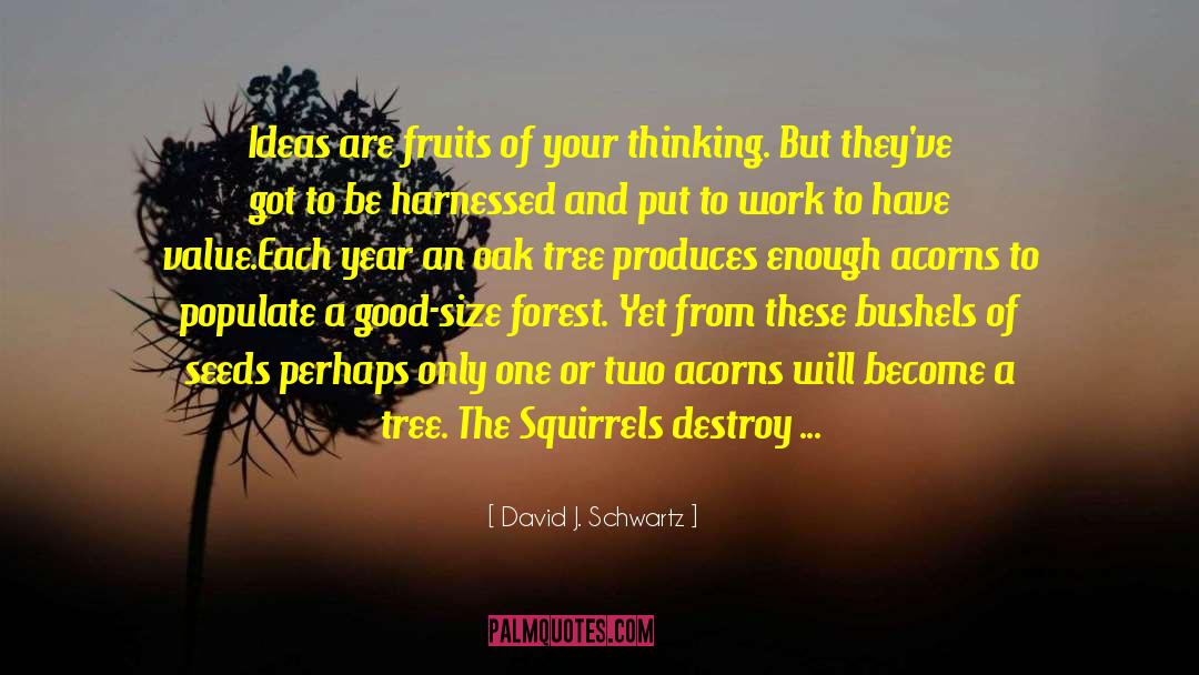 Acorns quotes by David J. Schwartz