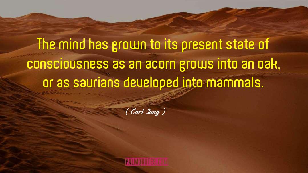 Acorns quotes by Carl Jung