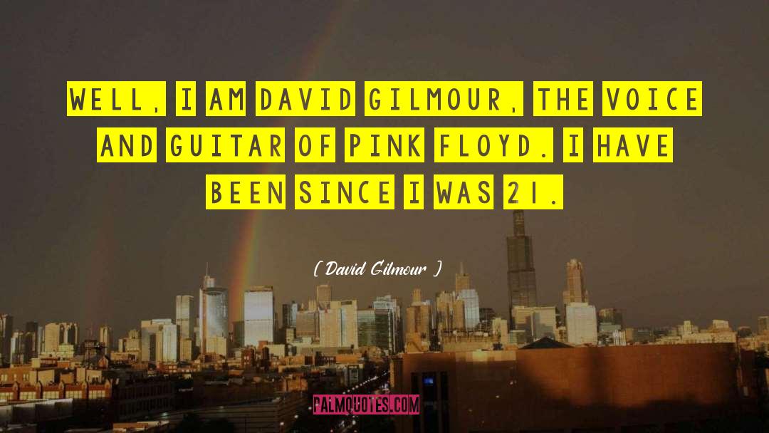 Acoustic Guitar quotes by David Gilmour